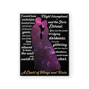 ACOTAR Sticker, SJ Maas, Court of Wing and Ruin, I would have waited 500 more years, If he was the sweet terrifying darkness