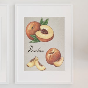 Peach Watercolor Art Print, Instant Download, Peaches Botanical Wall Prints, Fruit Tree, Illustration, Kitchen Artwork Decor, Gift for Home