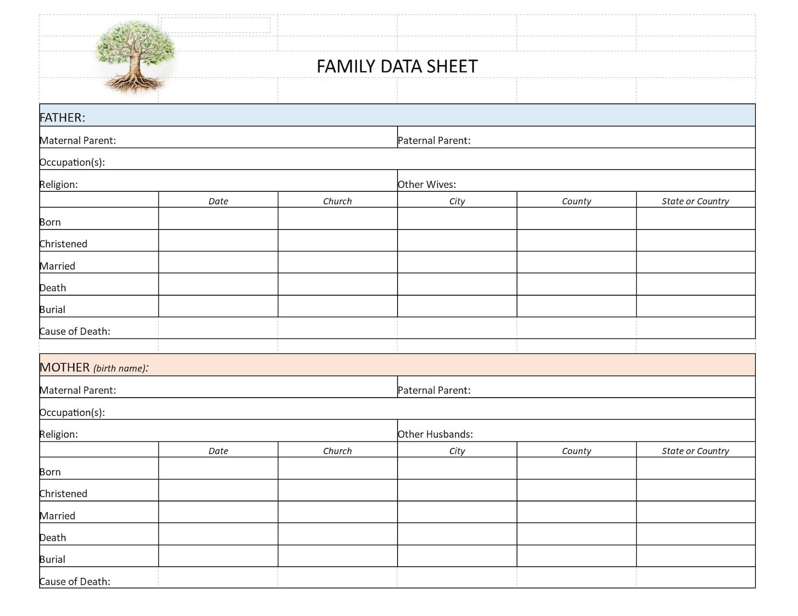 Family Data Sheet | Printable Excel or PDF Doc | Genealogy Family Tree ...