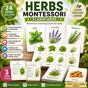 May include: A set of Montessori flashcards for kids featuring botanical illustrations of 24 herbs. The cards include images of basil, lavender, rosemary, mint, and turmeric. The cards are designed for learning and include picture, name, and information cards.