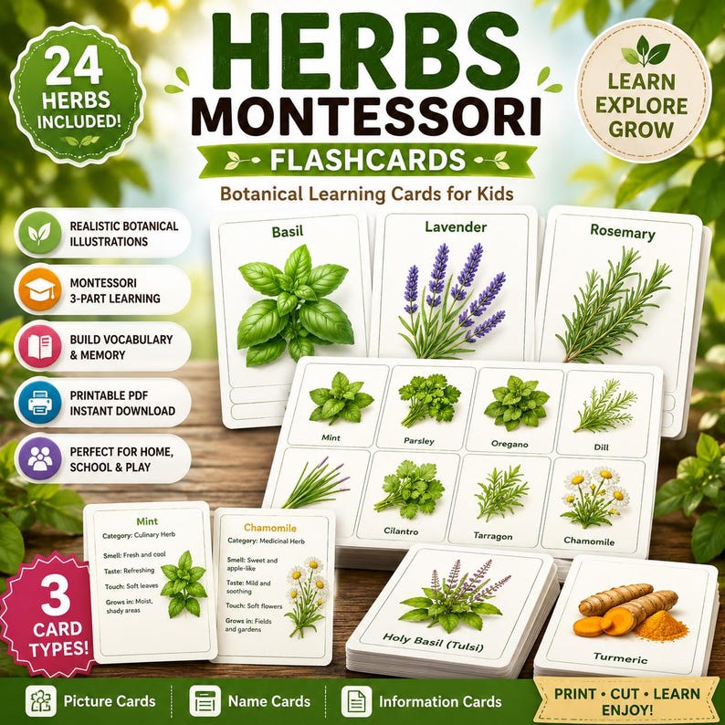 Herbs Montessori Flashcards | Botanical Learning Cards for Kids ...