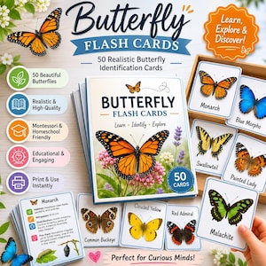 May include: Butterfly flash cards featuring 50 realistic butterfly identification cards. The cards include images of Monarch, Blue Morpho, Swallowtail, and Painted Lady butterflies. The text on the cards reads "Learn, Identify, Explore" and "Perfect for Curious Minds!"