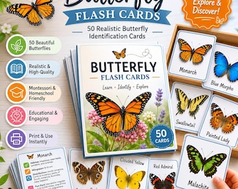 Tarjetas didácticas de mariposas Montessori imprimibles / Recursos para la educación en casa / 50 tarjetas realistas para identificar mariposas