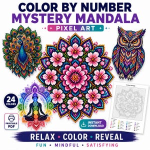 Mandala misteriosa para colorear por números (arte pixelado) / 20 colores / PDF imprimible