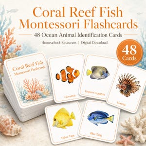 Könnte beinhalten: Ein Set aus 48 Montessori-Lernkarten über Korallenrifffische mit Aquarellillustrationen von Meerestieren wie Clownfisch, Kaiserfisch, Rotfeuerfisch, Gelber Doktorfisch und Paletten-Doktorfisch, jeweils mit beschriftetem Namen.