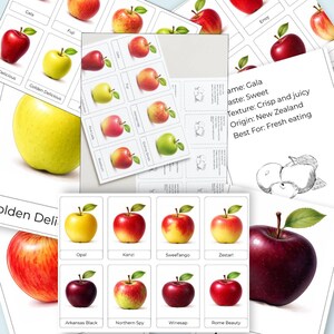 May include: Assortment of apple varieties, including Gala, Fuji, and Golden Delicious, displayed on cards with names and descriptions. The image showcases various colors and shapes of apples, with some cards providing details on taste and origin.