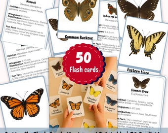 Butterfly Flash Cards Montessori Printable | Homeschool Resources | 50 Realistic Butterfly Identification