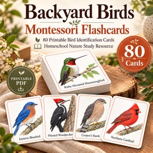 May include: A set of 80 printable Montessori flashcards titled Backyard Birds, featuring illustrations of a Ruby-throated Hummingbird, Eastern Bluebird, Pileated Woodpecker, Cooper's Hawk, and Northern Cardinal with their names printed below each bird.