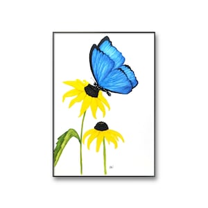 Butterfly and Flower Art Print, Blue Butterfly and Black Eyed Susan Watercolor Print, Floral Wall Art, Blue Butterfly Art Print