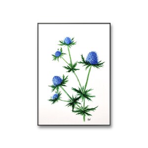 Blue Thistle Art Print, Blue Flower Wall Art, Blue Thistle Watercolor Painting, Floral Watercolor Print