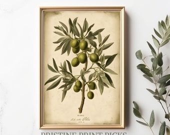 Vintage Olive Tree Print | Rustic Farmhouse Kitchen Decor Painting PRINTABLE