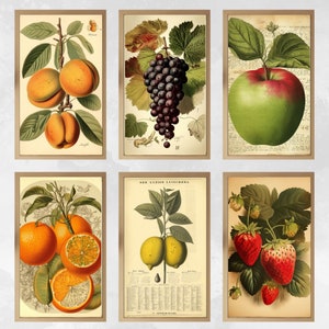 Country Kitchen Print | Vintage Painting | Fruits Still Life PRINTABLE Digital Download | set of 6