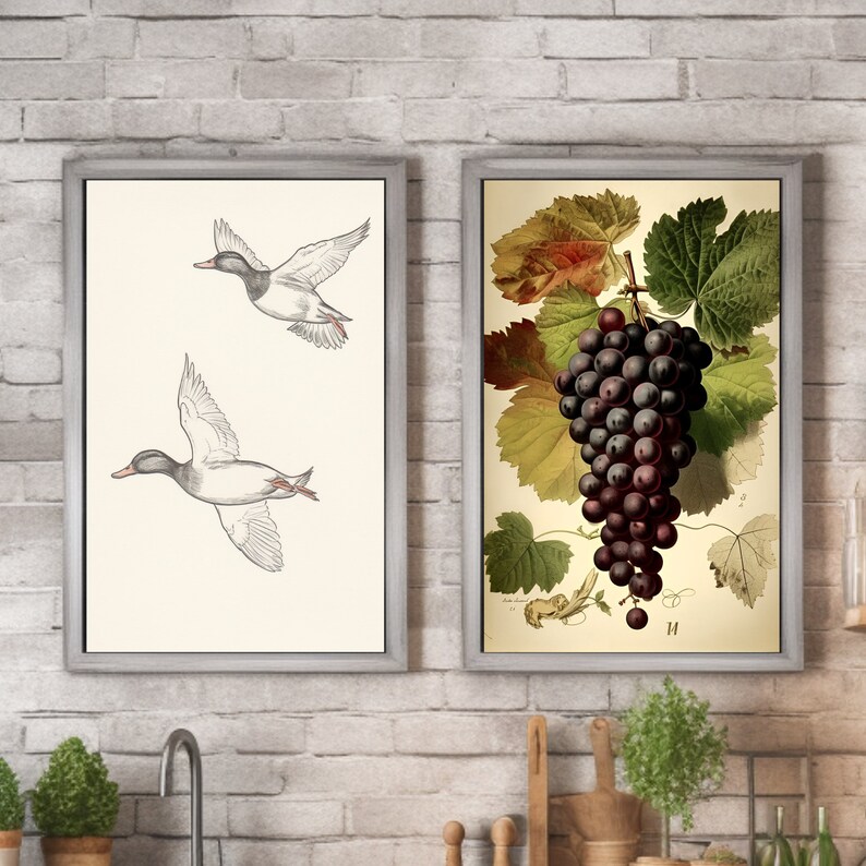 May include: Two framed vintage prints. One features two ducks in flight, rendered in black and white. The other print displays a cluster of dark grapes with green and yellow leaves. Both are set against a light background.