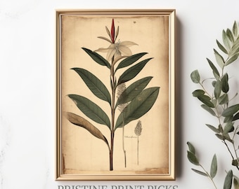 Impression rétro Garden Beauties : un chef-d'œuvre botanique d'inspiration vintage pour les amoureux de la nature !