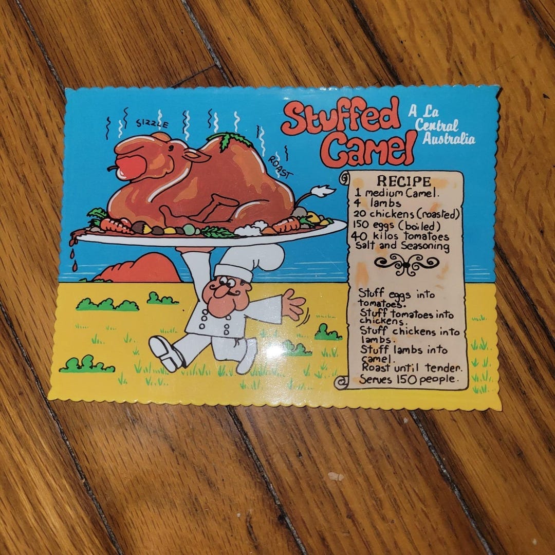 Vintage Stuffed Camel Recipe Postcard Australia Outback Humor Cartoon ...
