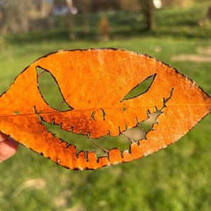 Puede incluir: Una hoja naranja tallada con una cara de miedo recortada. La hoja se sostiene en una mano contra un fondo de hierba verde.