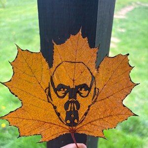 May include: A close-up of a fall leaf with a black ink drawing of a face on it. The leaf is orange and yellow and has a pointed tip.