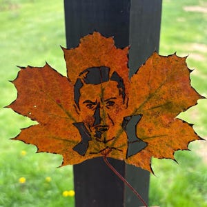 Pode incluir: Um retrato detalhado do rosto de uma pessoa esculpido em uma folha de bordo laranja seca.