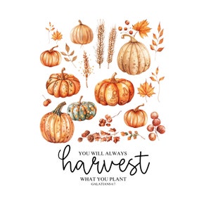 May include: A watercolour illustration of pumpkins in shades of orange, brown, and green, with autumn leaves and wheat. The text reads "You will always harvest what you plant" from Galatians 6:7.