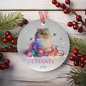 Persian Cat Christmas Ornament, Persian Cat Gift, Custom Cat Ornament, Persian Cat Lovers Gift Idea, Cat Lover Ornaments, Cat Name Ornament