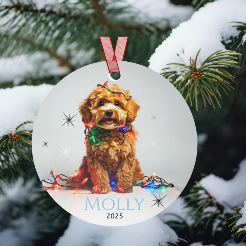Round aluminum Christmas ornament.  Ornament has a cute Cavapoo wrapped in colorful Christmas Lights.  Molly is in blue font and 2025 is in black font at the bottom of the ornament.  Names and year can be personalized.