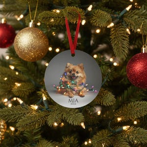 Round Christmas ornament.  Ornament has a Pomeranian wrapped in colorful Christmas lights.  Mia 2024 is at the bottom of the ornament.
