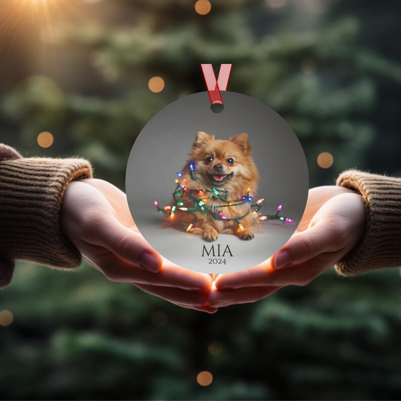 Round Christmas ornament.  Ornament has a Pomeranian wrapped in colorful Christmas lights.  Mia 2024 is at the bottom of the ornament.