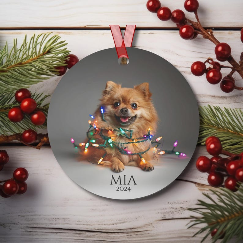Round Christmas ornament.  Ornament has a Pomeranian wrapped in colorful Christmas lights.  Mia 2024 is at the bottom of the ornament.