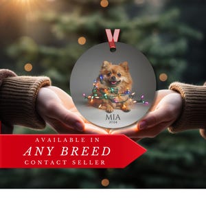 Round Christmas ornament.  Ornament has a Pomeranian wrapped in colorful Christmas lights.  Mia 2024 is at the bottom of the ornament.