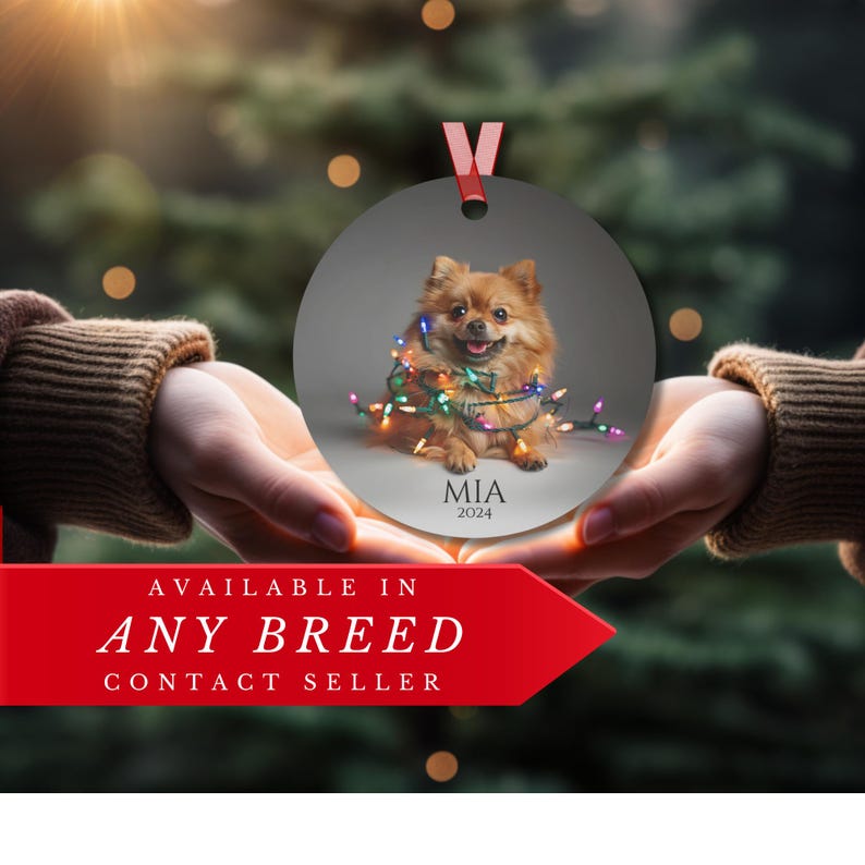 Round Christmas ornament.  Ornament has a Pomeranian wrapped in colorful Christmas lights.  Mia 2024 is at the bottom of the ornament.