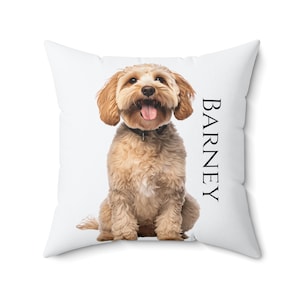May include: A white throw pillow with a brown and white dog sitting on it. The dog is looking at the camera and has its tongue sticking out. The text "BARNEY" is printed on the pillow.