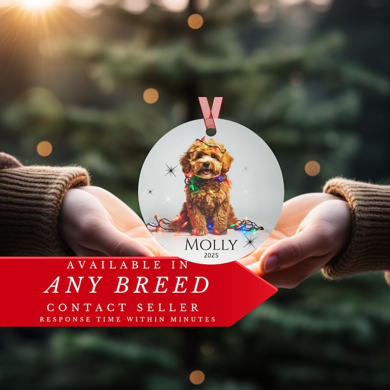 Round aluminum Christmas ornament.  The ornament has a Cavapoo wrapped in colorful Christmas lights.  At the bottom is Molly 2025.