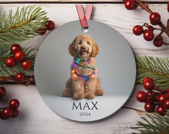 Könnte beinhalten: Ein runder, silberner Weihnachtsbaumschmuck mit einem Foto eines braunen Hundes, der bunte Weihnachtslichter trägt. Der Hund sitzt und schaut in die Kamera. Der Baumschmuck trägt den Namen "MAX" und das Jahr "2024" aufgedruckt.