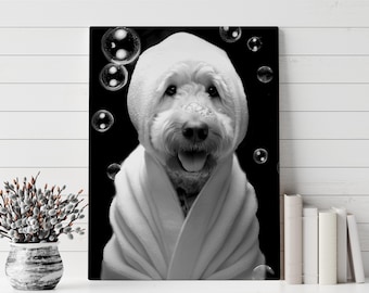 Puede incluir: Un perro blanco con una toalla blanca, mirando a la cámara, con un fondo negro y burbujas blancas.