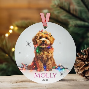 Round aluminum Christmas ornament.  Ornament has a cute Cavapoo wrapped in colorful Christmas Lights.  Molly is in pink font and 2025 is in black font at the bottom of the ornament.  Names and year can be personalized.
