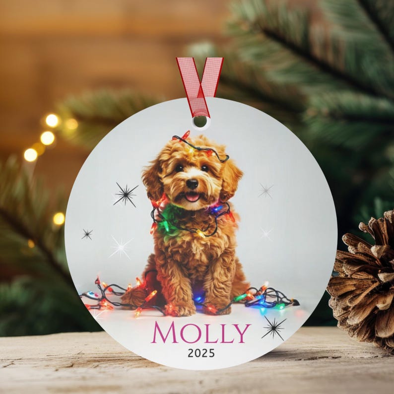 Round aluminum Christmas ornament.  Ornament has a cute Cavapoo wrapped in colorful Christmas Lights.  Molly is in pink font and 2025 is in black font at the bottom of the ornament.  Names and year can be personalized.