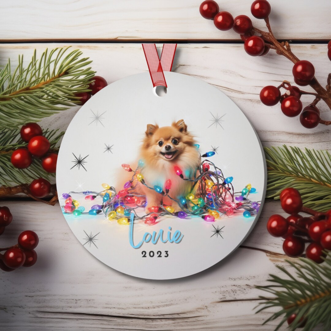 Personalized Pomeranian Dog Memorial Christmas Ornament – Suncatcher With Name, Pet Loss Gift