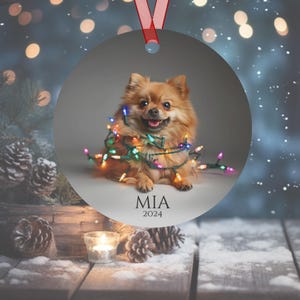 Round Christmas ornament.  Ornament has a Pomeranian wrapped in colorful Christmas lights.  Mia 2024 is at the bottom of the ornament.