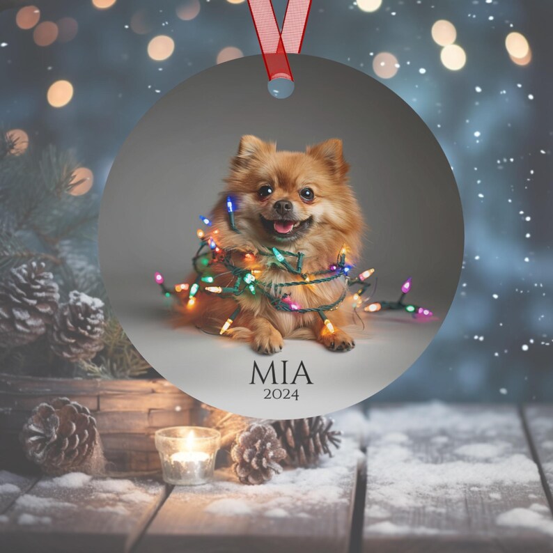 Round Christmas ornament.  Ornament has a Pomeranian wrapped in colorful Christmas lights.  Mia 2024 is at the bottom of the ornament.