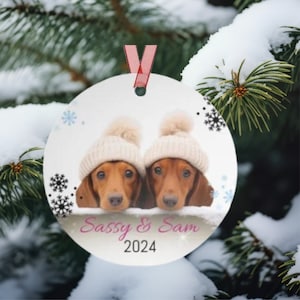 Two Dachshund&#39;s Looking Over Fence Ornament, Custom Dog Ornament, Dachshund Gift Idea, Dog Name Ornament, Custom Gift, Dachshund Lover
