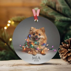 Round Christmas ornament.  Ornament has a Pomeranian wrapped in colorful Christmas lights.  Mia 2024 is at the bottom of the ornament.