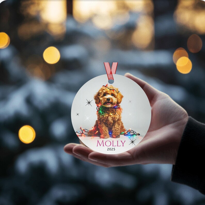 Hand is holding ornament.  Round aluminum Christmas ornament.  Ornament has a cute Cavapoo wrapped in colorful Christmas Lights.  Molly is in pink font and 2025 is in black font at the bottom of the ornament.  Names and year can be personalized.