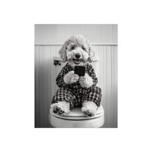 Playful Dog Fine Art Posters - Cute Wall Art for Dog Lovers, Home Decor, Gift for Pet Owners, Animal Art Prints, Whimsical Dog Art