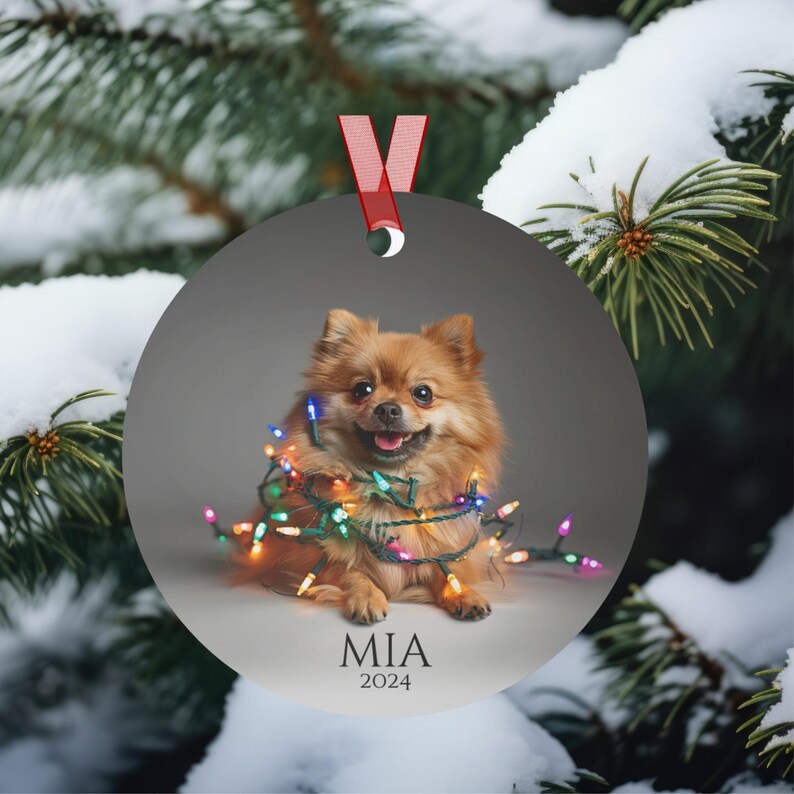 Round Christmas ornament.  Ornament has a Pomeranian wrapped in colorful Christmas lights.  Mia 2024 is at the bottom of the ornament.