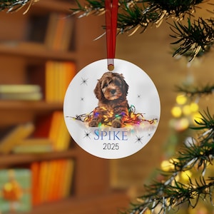 Könnte beinhalten: Ein weißer runder Weihnachtsbaumschmuck mit einem braunen Welpen, der sich in bunten Weihnachtslichtern verheddert hat. Der Welpe schaut in die Kamera. Der Baumschmuck trägt den Text "SPIKE 2025".