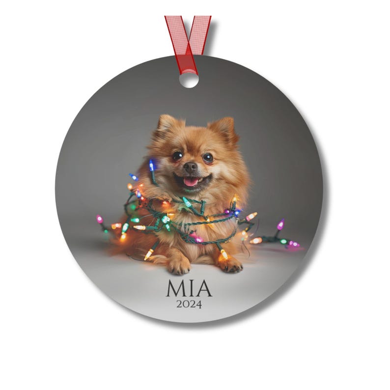 Round Christmas ornament.  Ornament has a Pomeranian wrapped in colorful Christmas lights.  Mia 2024 is at the bottom of the ornament.