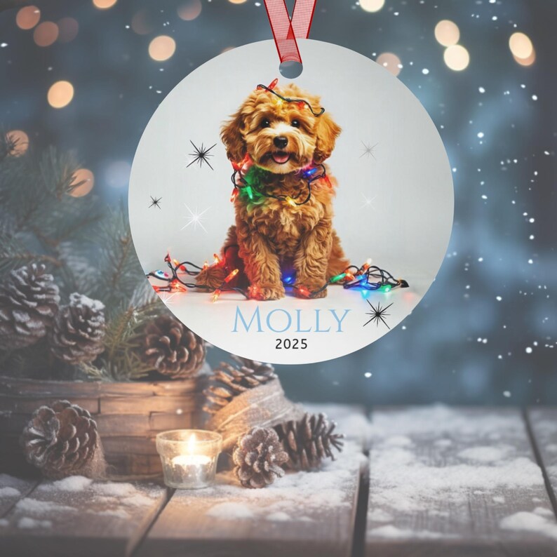 Round aluminum Christmas ornament.  Ornament has a cute Cavapoo wrapped in colorful Christmas Lights.  Molly is in pink font and 2025 is in black font at the bottom of the ornament.  Names and year can be personalized.