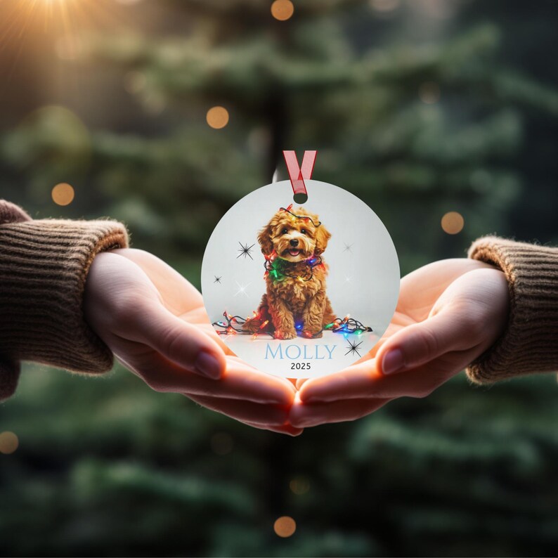 Hands is holding ornament.  Round aluminum Christmas ornament.  Ornament has a cute Cavapoo wrapped in colorful Christmas Lights.  Molly is in blue font and 2025 is in black font at the bottom of the ornament.  Names and year can be personalized