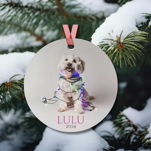 Maltipoo Christmas Ornament blue, Maltipoo Gifted, Custom Dog Ornament, Maltipoo Mom Gift Idea, Maltipoo Christmas Dog Ornament
