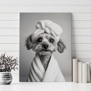 May include: A black and white photo of a small dog wearing a white towel on its head and a white robe. The dog is looking directly at the camera.